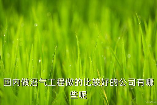 國內(nèi)做沼氣工程做的比較好的公司有哪些呢