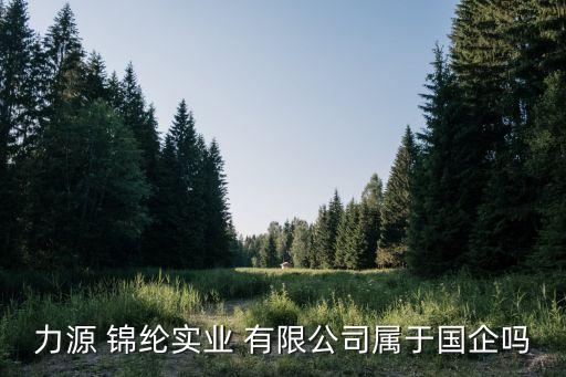 力源 錦綸實(shí)業(yè) 有限公司屬于國企嗎