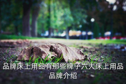 品牌床上用品有那些牌子六大床上用品品牌介紹