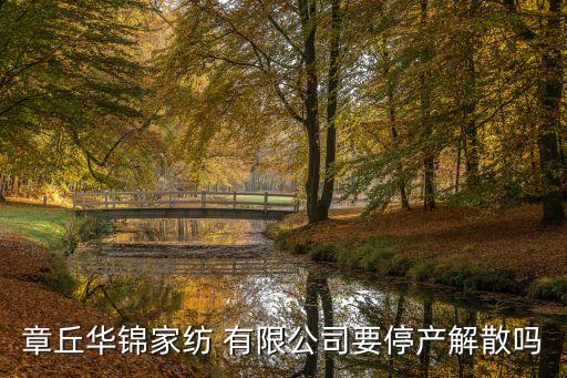 章丘華錦家紡 有限公司要停產(chǎn)解散嗎