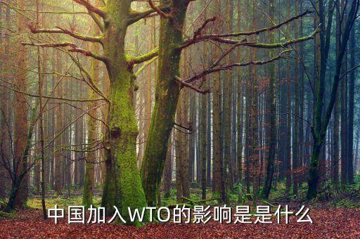 中國(guó)加入WTO的影響是是什么