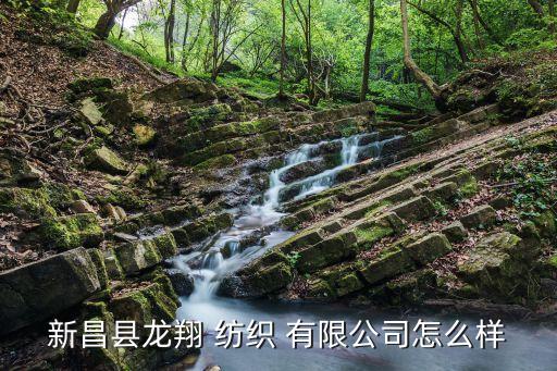 新昌縣龍翔 紡織 有限公司怎么樣