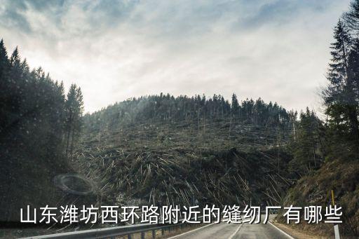  山東濰坊西環(huán)路附近的縫紉廠有哪些