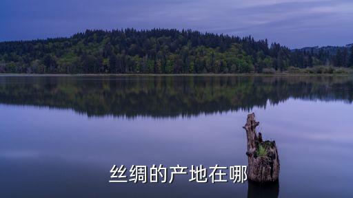  絲綢的產(chǎn)地在哪