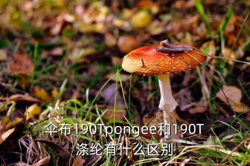 傘布190Tpongee和190T滌綸有什么區(qū)別