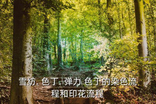 雪紡. 色丁. 彈力 色丁的染色流程和印花流程