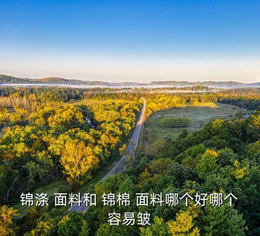 錦棉面料成份比,螺紋棉面料是什公成份