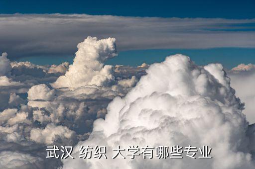  武漢 紡織 大學有哪些專業(yè)