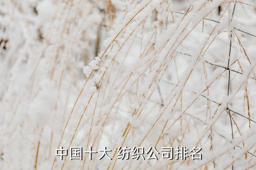 中國(guó)十大 紡織公司排名
