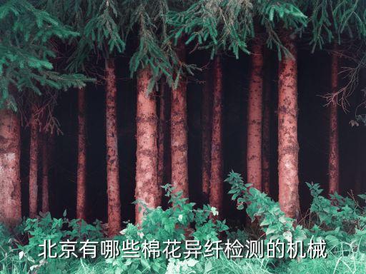 北京有哪些棉花異纖檢測的機械