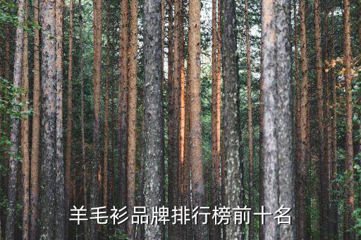 全球十大紡織企業(yè)排名